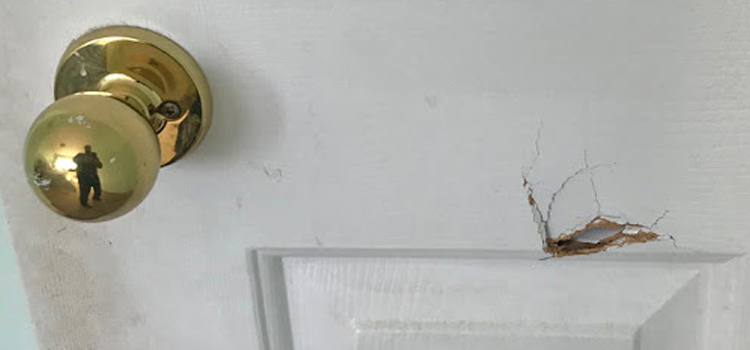 interior door hole repair Cypress