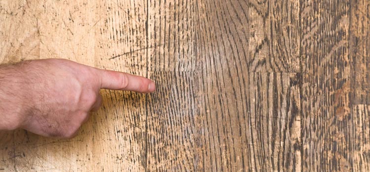 Wood Door Scratch Repair in Cypress